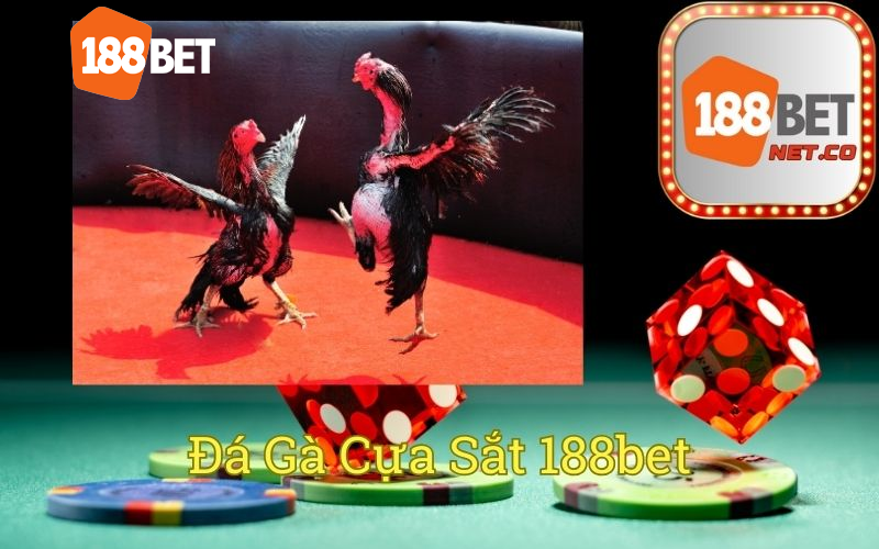 Đá Gà Cựa Sắt 188bet