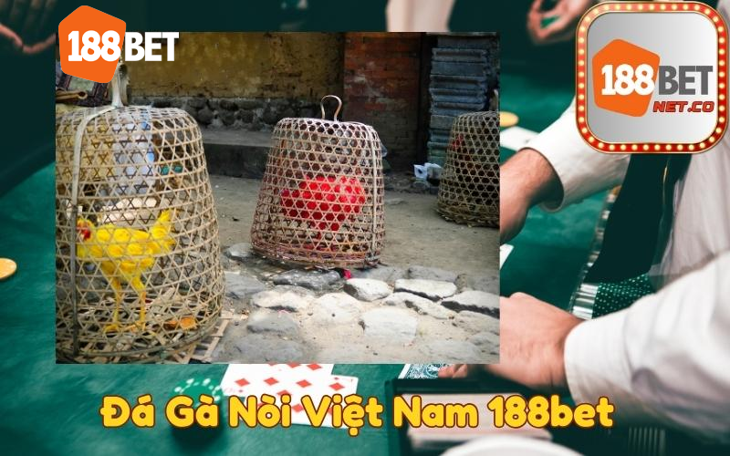 Đá Gà Nòi Việt Nam 188bet