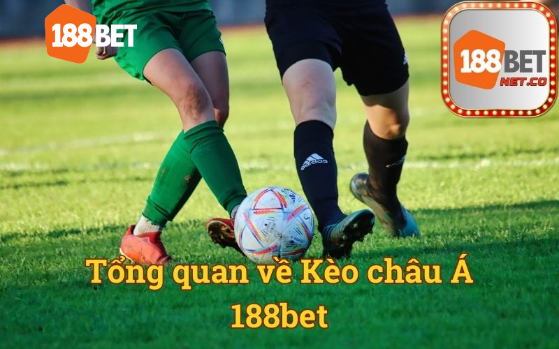 Tổng quan về Kèo châu Á 188bet